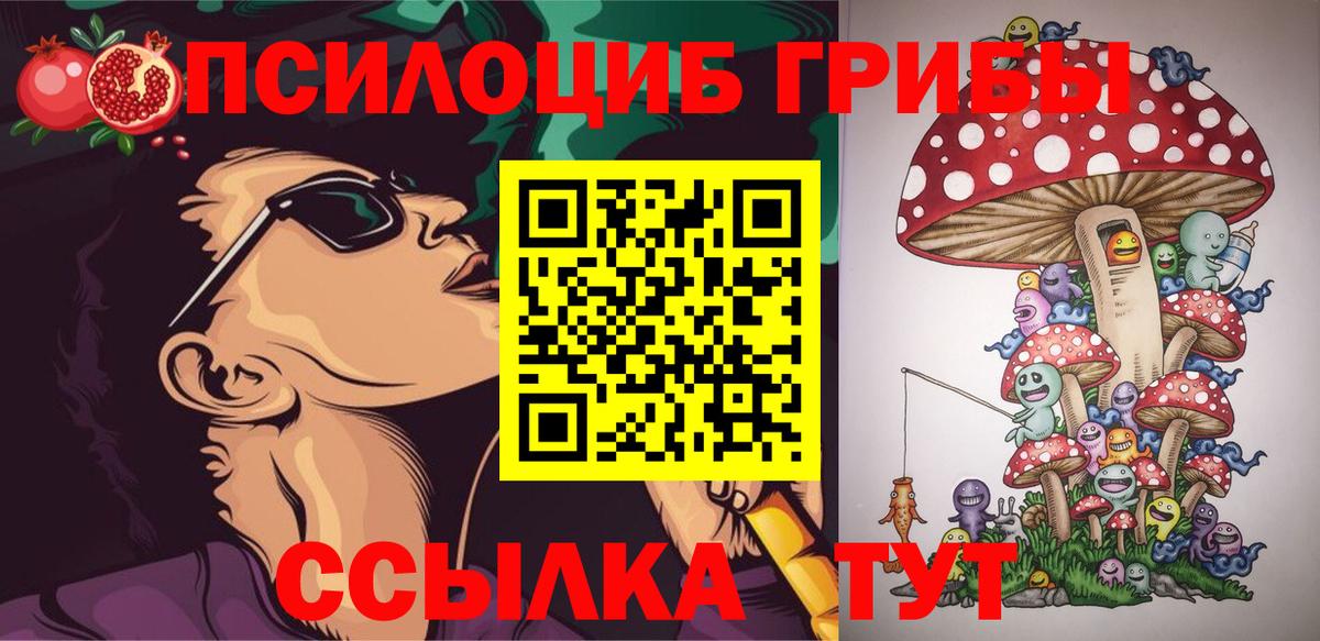 Рубцовск  Псилоцибиновые грибы Psilocybe  Вход с VPN 