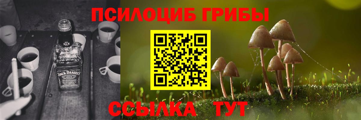 Псилоцибиновые грибы мухоморы Рубцовск